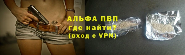 стаф Алексин