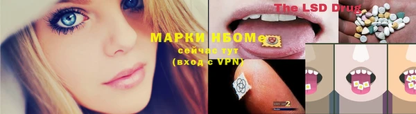 стаф Алексин