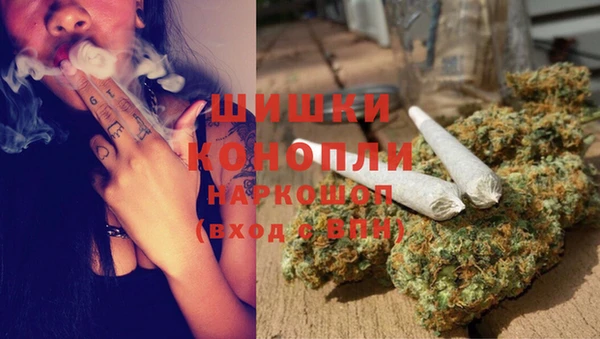 гидропоника Алзамай