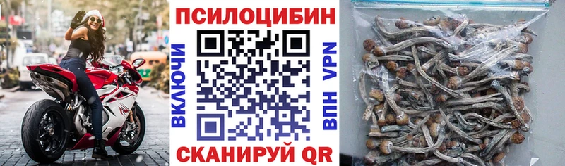 Галлюциногенные грибы Cubensis Кирс